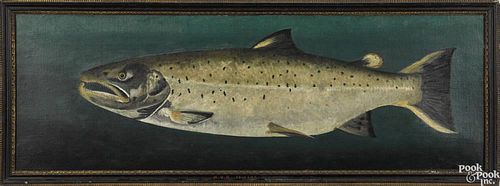 English or Scottish, oil on canvas portrait of a salmon, late 19th c., initialed E.V.D.