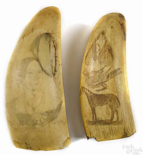 Two scrimshaw decorated whale teeth 19th c., the first with a portrait of Maria II