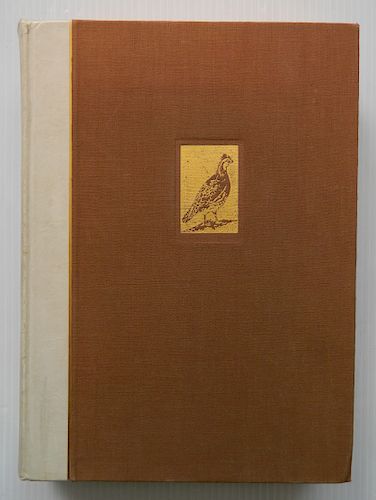 Stoddard- ''Bob Whhite Quail'' with Benson etching