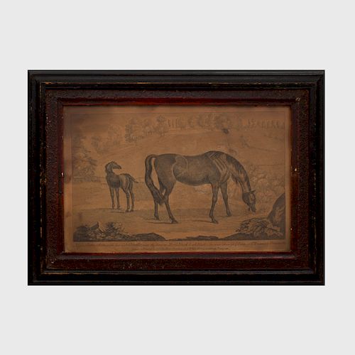 James Seymour (1702-1752): Five Equestrian Plates