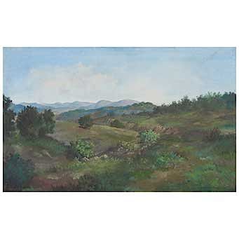 Isidro Martínez Colín. Vista de paisaje con cerros. Pintura al óleo. Enmarcado. 50 x 80 cm
