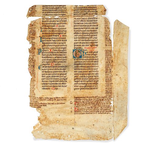 Manuscript Page on Vellumin Latin circa 1350