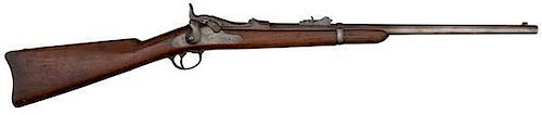 Model 1879 Springfield Carbine with Starred Serial Number 