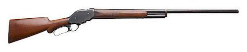 **Winchester Model 1901 Lever-Action Shotgun 
