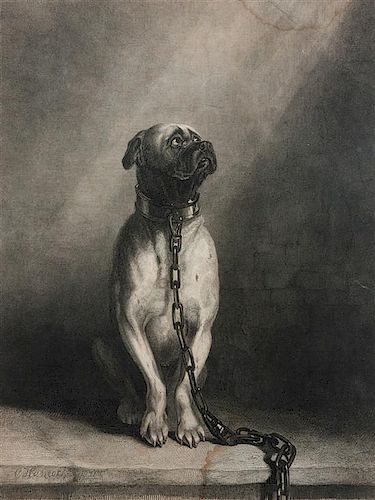 * Five Works of Art depicting Mastiffs Largest: 12 1/4 x 9 1/4 inches.