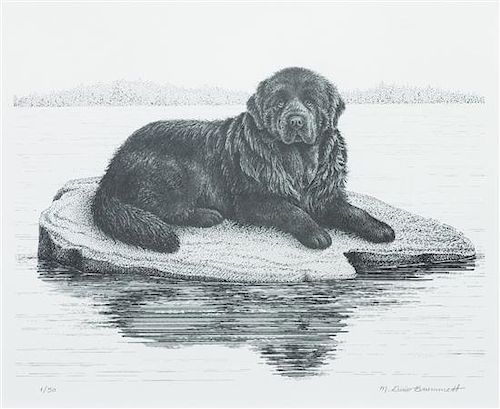 * A Print of a Newfoundland 9 x 11 inches.