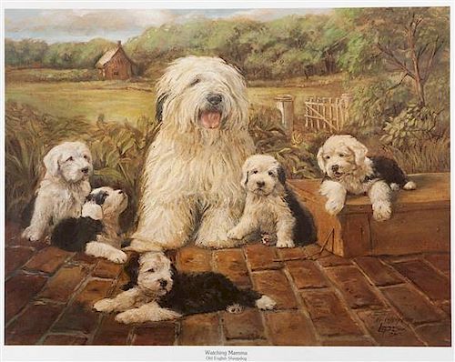 * A Print depicting Old English Sheepdogs 16 3/4 x 21 inches.