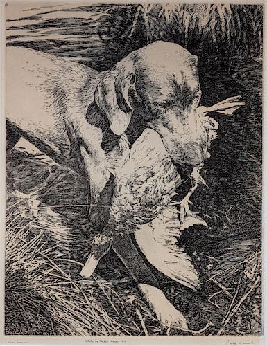 * An Etching of a Weimaraner Image: 12 5/8 x 9 7/8 inches.