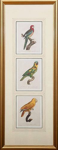 After Jacques Barraband (1768-1809): Six Ornithological Prints