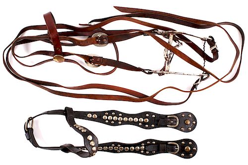 Bridle Collection w/ Studded Head Stall