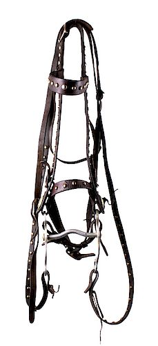 Crockett Curb Bit with Studded Headstall and Reins
