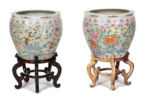 A Pair of Chinese Export Famille Rose Fish Bowls Height 20 x diameter 22 inches.