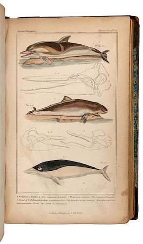 CUVIER, Georges L. C., Baron (1769-1832). The Animal Kingdom. London: G. Henderson, 1837.