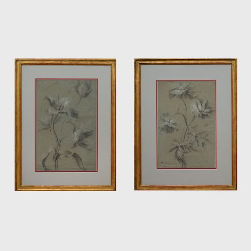 French School: Sketch of Four Tulips; and Sketch of Three Peonies
