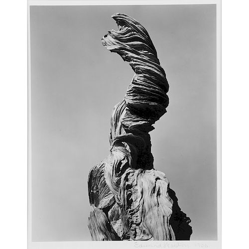 Edward Weston (American, 1886-1958)