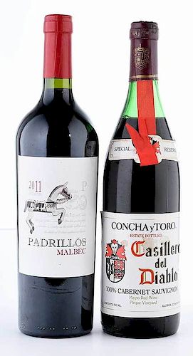 Two Vintage South American Red Wines, Concha y Toro