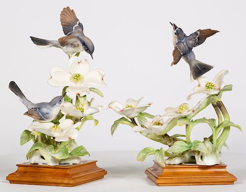 Two Dorothy Doughty, Blue-Grey Gnatcatcher Birds