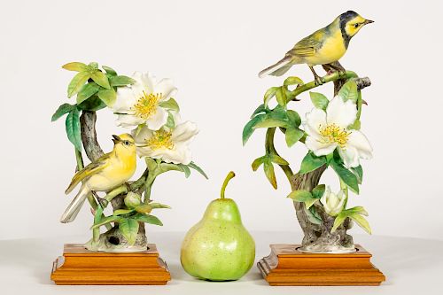 Dorothy Doughty, Two Hooded Warbler & Rose Birds