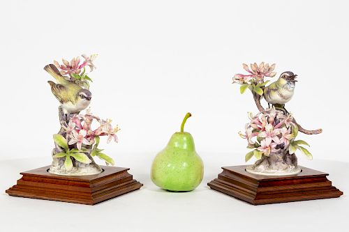 Pair, Doughty Red Vireo w/ Wooden Stands & Boxes