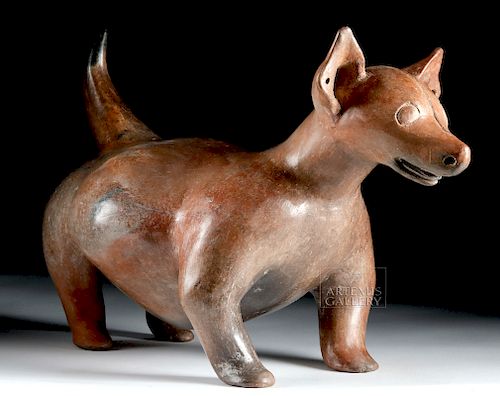 Large Colima Redware Puppy w/ Pierced Ears
