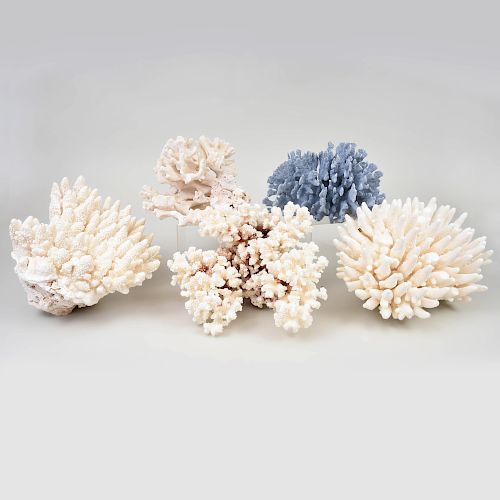 Five Groups of Coral
