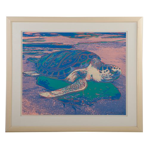Andy Warhol. "Turtle"