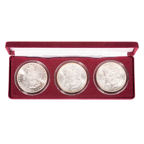 3 Coin CC Morgan Dollar Set, 1882-1884