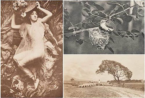 three photogravures from Camera Notes