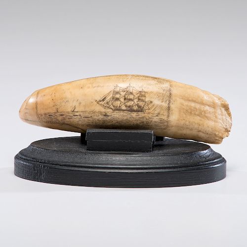 Scrimshaw Tooth with Whaling Scene