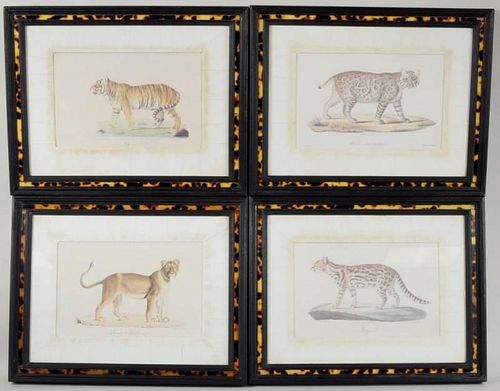 Group of Four Decorative Exotic Cat Prints