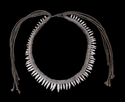 Early Canidae Teeth Necklace