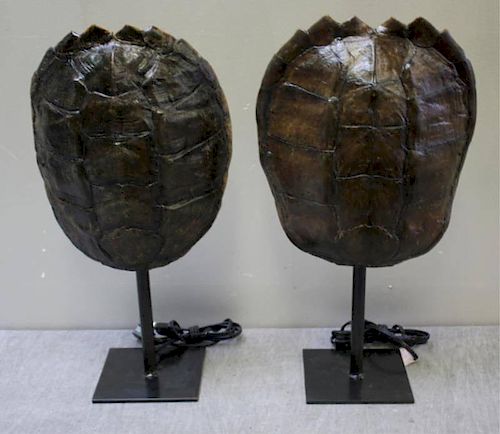 Pair of Decorative Shell Form Lamps.
