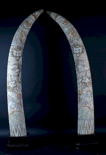 20th Century Chinese Monumental Carved Tusk