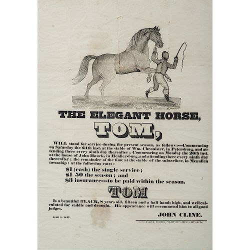 Illustrated 1847 Gettysburg Broadside for the Elegant Horse, Tom