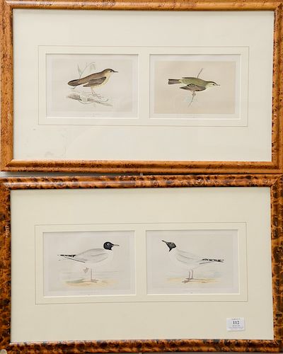 Set of ten colored lithographs in five frames of The History of British Birds by Reverend F.O. Morris, published in London by Groomb...
