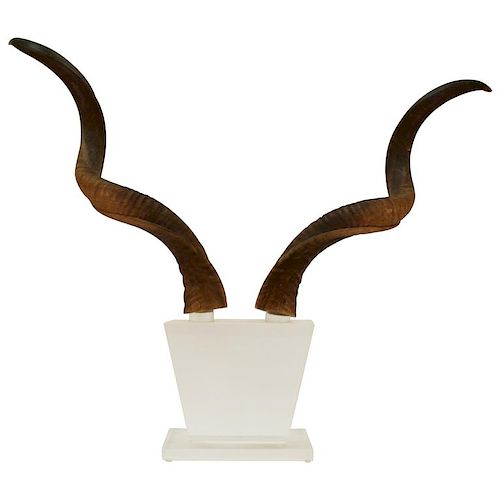 Mid-Century Antelope Antlers on Lucite Stand