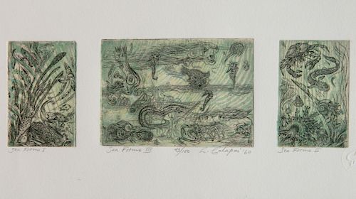 Letterio Calapai etching