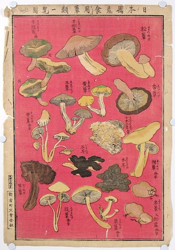 "Chart of Edible Japanese Mushroom Types."
