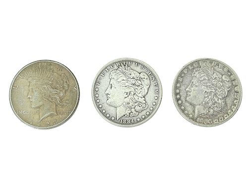 Collection of 3 Morgan Silver Dollars