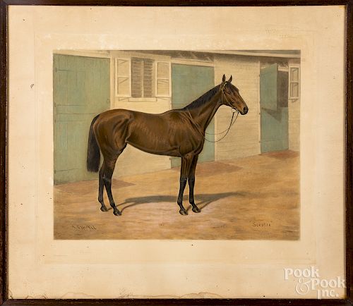 Set of four horse prints
