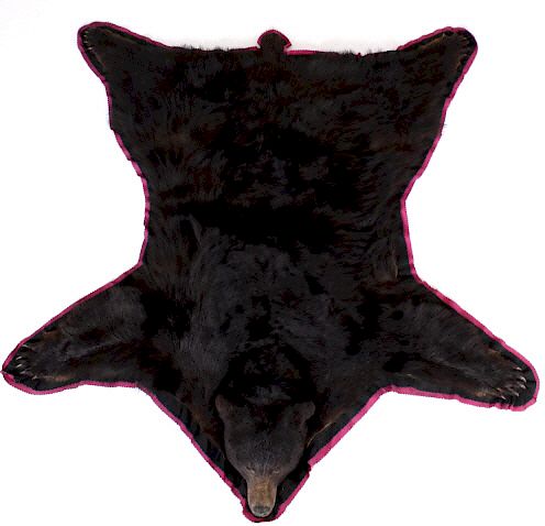 Montana Taken Taxidermy Black Bear Full Body Rug