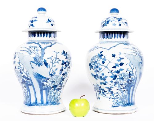 Pair, Chinese Blue & White Porcelain Ginger Jars