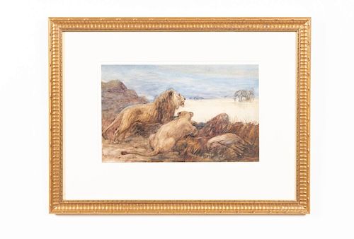 C.E. Swan Watercolor, "Lion & Lioness", C. 1910
