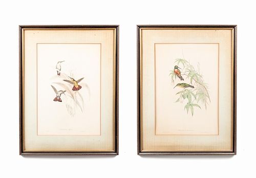 After John Gould, Pair, Hummingbird Lithographs