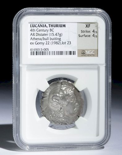 Greek Lucanian Silver Distater Coin - 15.47 g