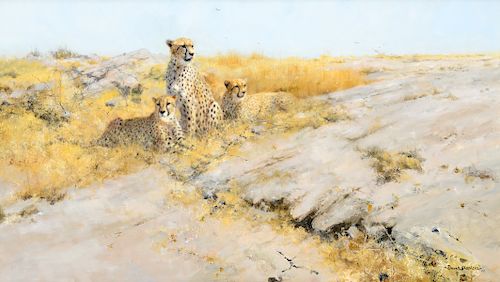 David Shepherd (1931–2017): Cheetah Lookout (2003)