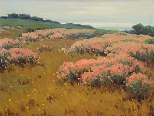 John Marshall Gamble (1863–1957): Wild Buckwheat near Monterey