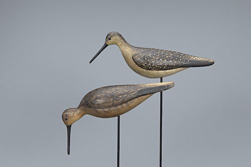 Dowitcher Pair, Mark S. McNair (b. 1950)