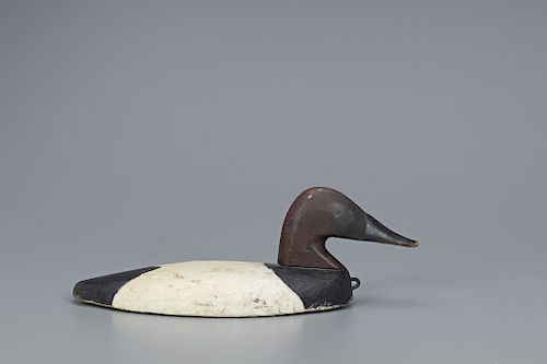 Wooden Wing Duck Canvasback Decoy, Capt. Harvey Brice