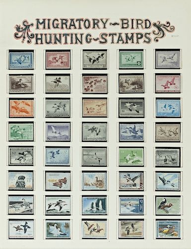 Framed Duck Stamps